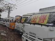 出售大批量五十铃货车