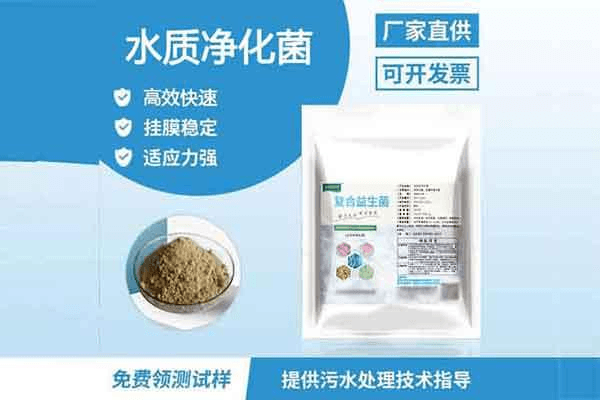 水质净化菌种