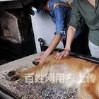 绍兴家庭宠物去世处理,绍兴宠物善后服务中心