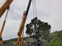 华东地区吊车出租图片动态吊车出租图片动态升降平台车