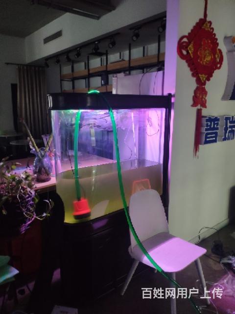 郑州维修鱼缸 鱼缸搬家 清理鱼缸免费指导