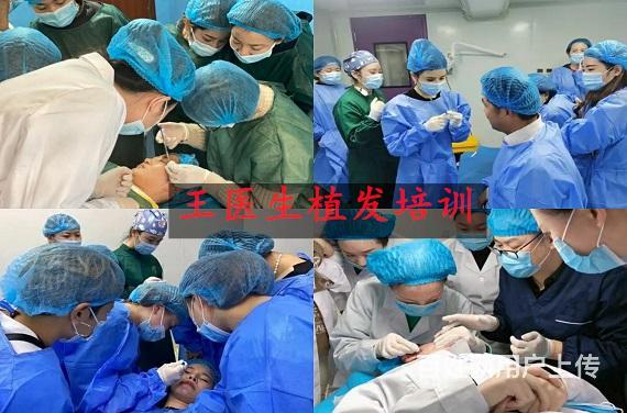 吐鲁番正规植发培训丶植发技术在哪里可以学的图片