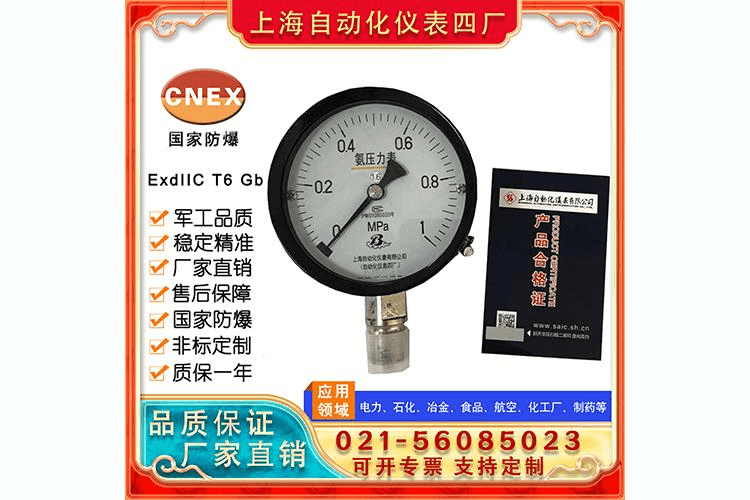 YA150氨用压力表