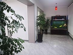 金南社区 商住两用 精装修