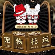周口扶沟宠物托运 （猫狗活体运输）宠物快递至全国