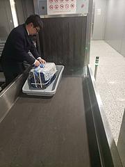 包头 宠物托运公司  正规公司安全可靠