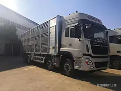 定西大型畜禽车小型运猪车图片运猪车多少钱一辆多少钱