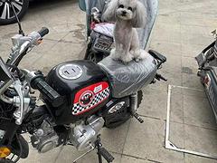 准新车，个人一手