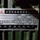 新电机两个，纯国标，纯铜的