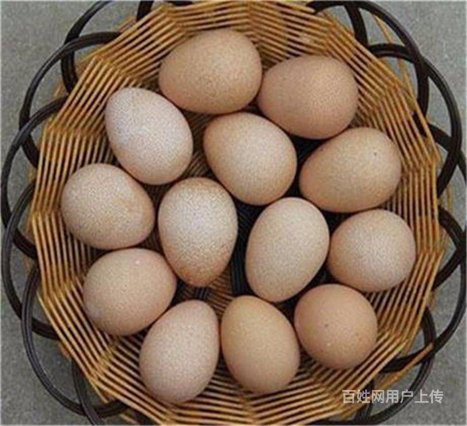 绿壳鸡蛋,珍珠鸡蛋,贵妃鸡蛋,乌鸡蛋