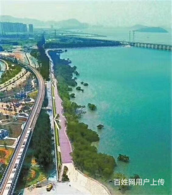 西乡固戍海滨公园《碧湾豪庭》带精装修盛大开盘了