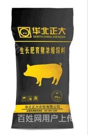 九寨沟牛羊预混料厂家电话