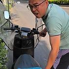 真狗