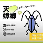 日照专业除蟑螂灭白蚁除虫灭鼠除四害24小时服务