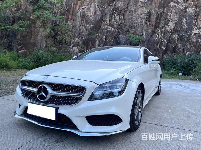 奔驰CLS-Class [CLS级] 2015款 CLS 2的图片