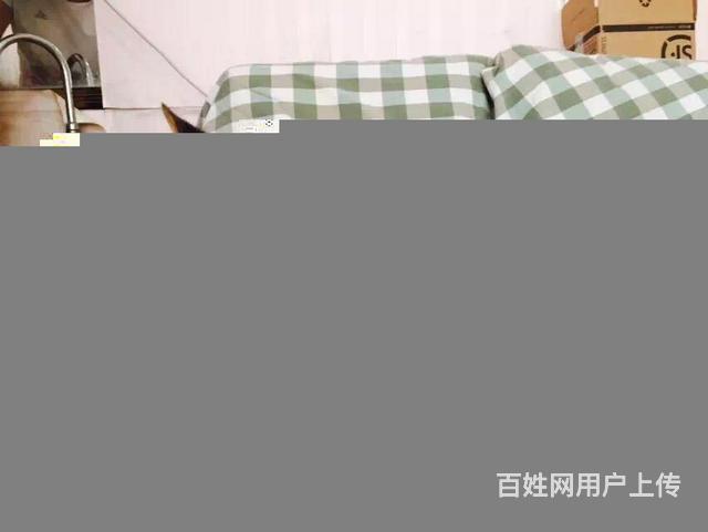 阿拉善血统柯基哪里有卖，血统柯基一般多少钱的图片