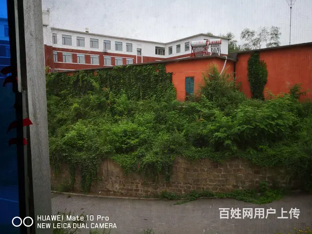 个人房子出租的图片