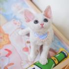 德文卷毛猫市场价多少 德文真的不掉毛吗 图片价格