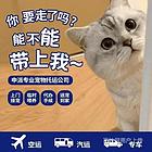 高州宠物托运{猫狗长途搬家}活体快速邮寄2024安全快捷全国