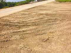 本田 思域 2019款 1.0T 无级 180TURBO 尚
