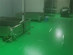 （诚速）租锦江道边厂房 带无尘车间和冻库 交通便利停车方便