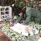 日照宠物火化服务站,日照宠物善后服务中心,