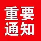 品相非常不错的马犬