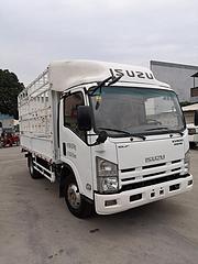 2019年上牌照庆铃KV600