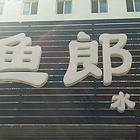 盘锦本地鱼缸维护和鱼病预防治疗 观赏鱼收售