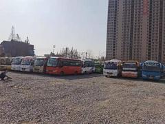 100多台 19座中型客车 同行可批