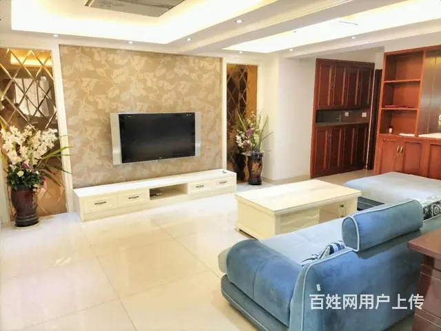 （新上首租）步行街亚洲广场 美岸观邸 紫晶城精装两房一线江景的图片
