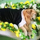 丽水家庭宠物去世处理,丽水宠物善后服务中心