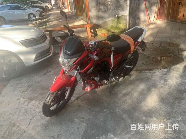 五羊本田幻影150的图片