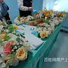 昆明十年宠物殡葬服务老店,昆明宠物殡仪馆电话,