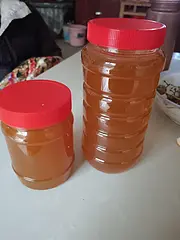 土蜂蜜