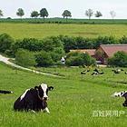 甘肃定西挖掘机司机涉外劳务收费标准诚招代理