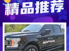 福特F-150 [猛禽](进口) 2010款 F-150 S
