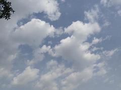 七街小学西全新房出租