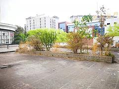 中心商务区商务楼出租，价格可议一年起租