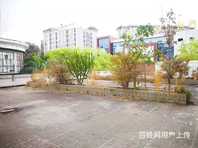 中心商务区商务楼出租，价格可议一年起租的图片