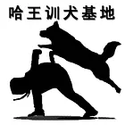 嘉善宠物训练驯狗学校乐园基地服从训练技能护卫护主