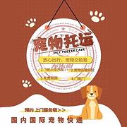 南平宠物托运