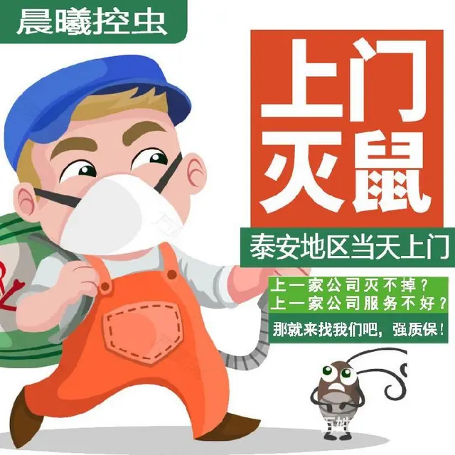岱岳区餐厅灭鼠晨曦控虫价格 - 图片 1