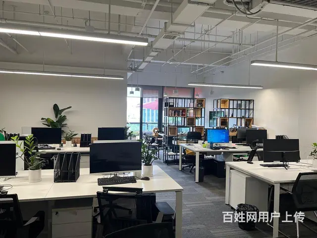 阿里园区 直播基地 精装带家具 环境优好招人近云狐 可补贴 - 图片 5