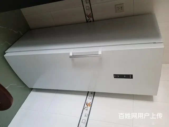 海尔立式冰柜 - 图片 1