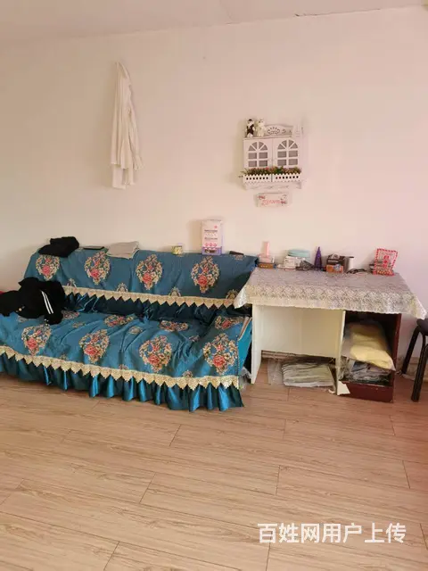 南山振鹤小区 逸夫小学附近7楼54平简装2.9万 - 图片 7