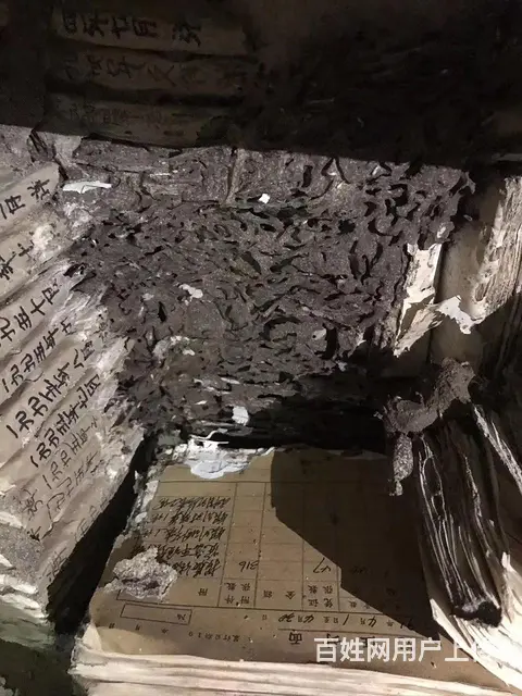 韶关市十三幺白蚁害虫防治有限公司 - 图片 12