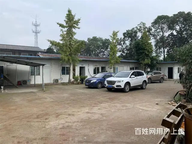 绵竹齐天镇700平厂房出租 - 图片 5