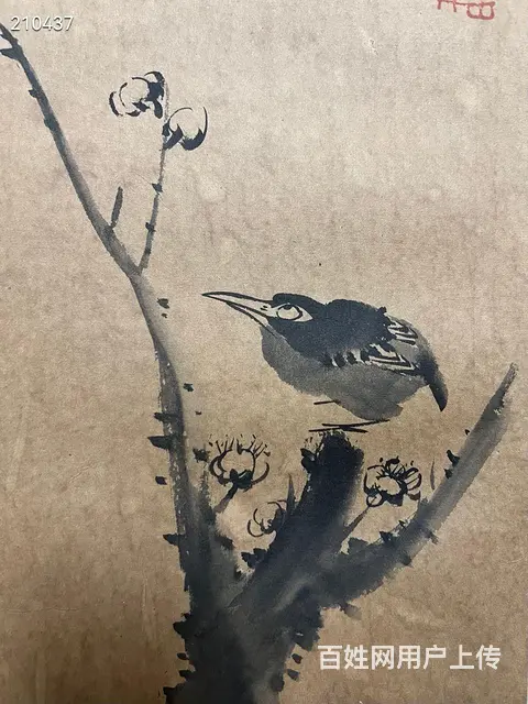 八大 精品册页 画心33.5✖️22cm✖️6开 - 图片 8