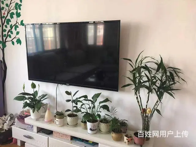 康馨园北区5楼3室两厅30万紧邻人民医院 - 图片 4
